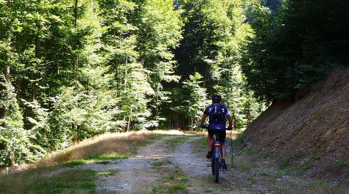 Bosque de Irati en BTT y cicloturismo hayas| BIKING THROUGH SPAIN