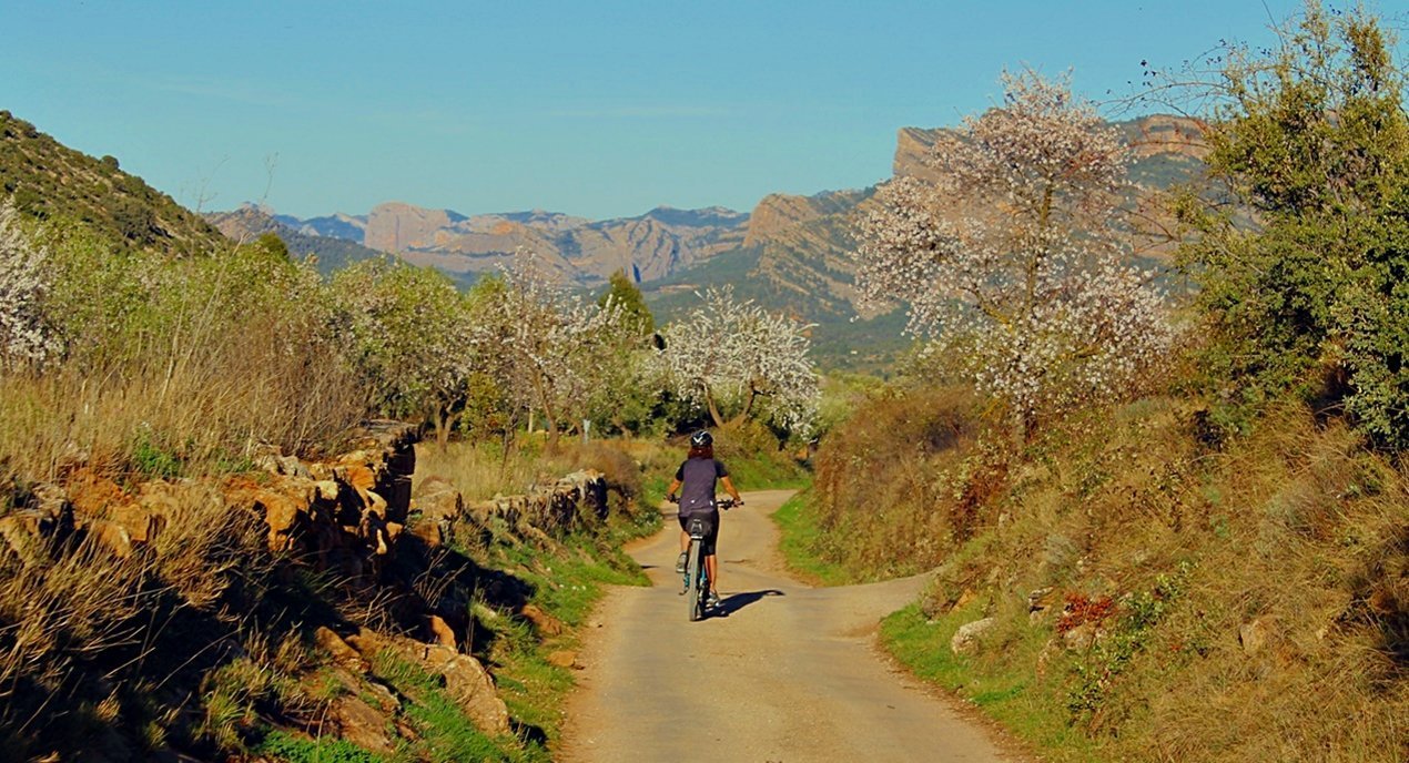 Vía Verde Val de Zafán en bicicleta. Els Ports. BICIS EN RUTA