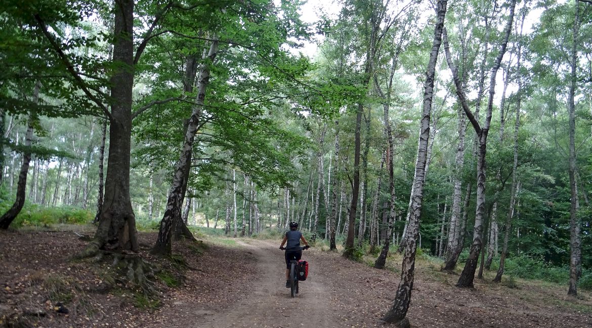 Garrotxa 1. Collsacabra en bicicleta.BICIS EN RUTA. 1170X650