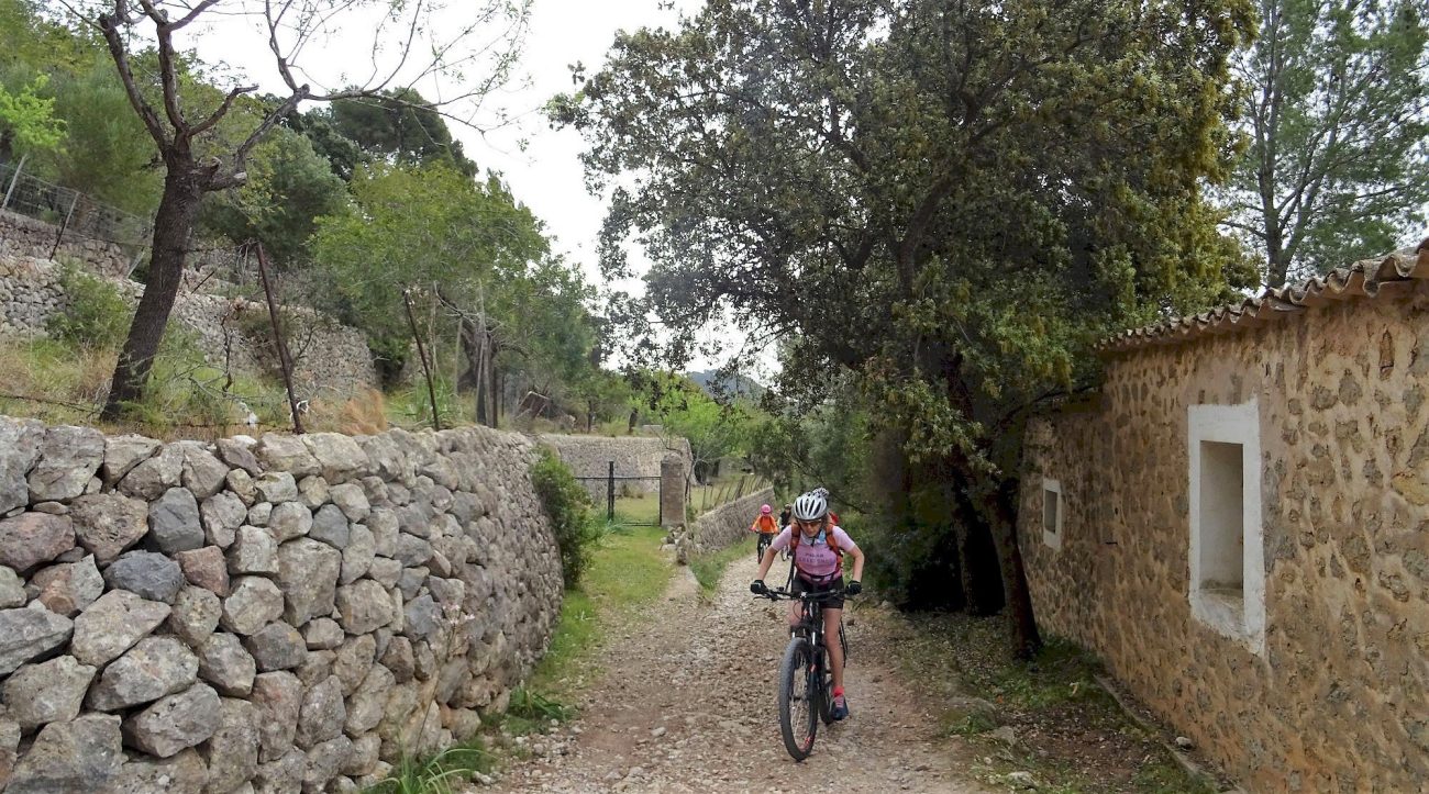 Serra de Tramuntana en bicicleta. Esporles. BICIS EN RUTA. 1170x650