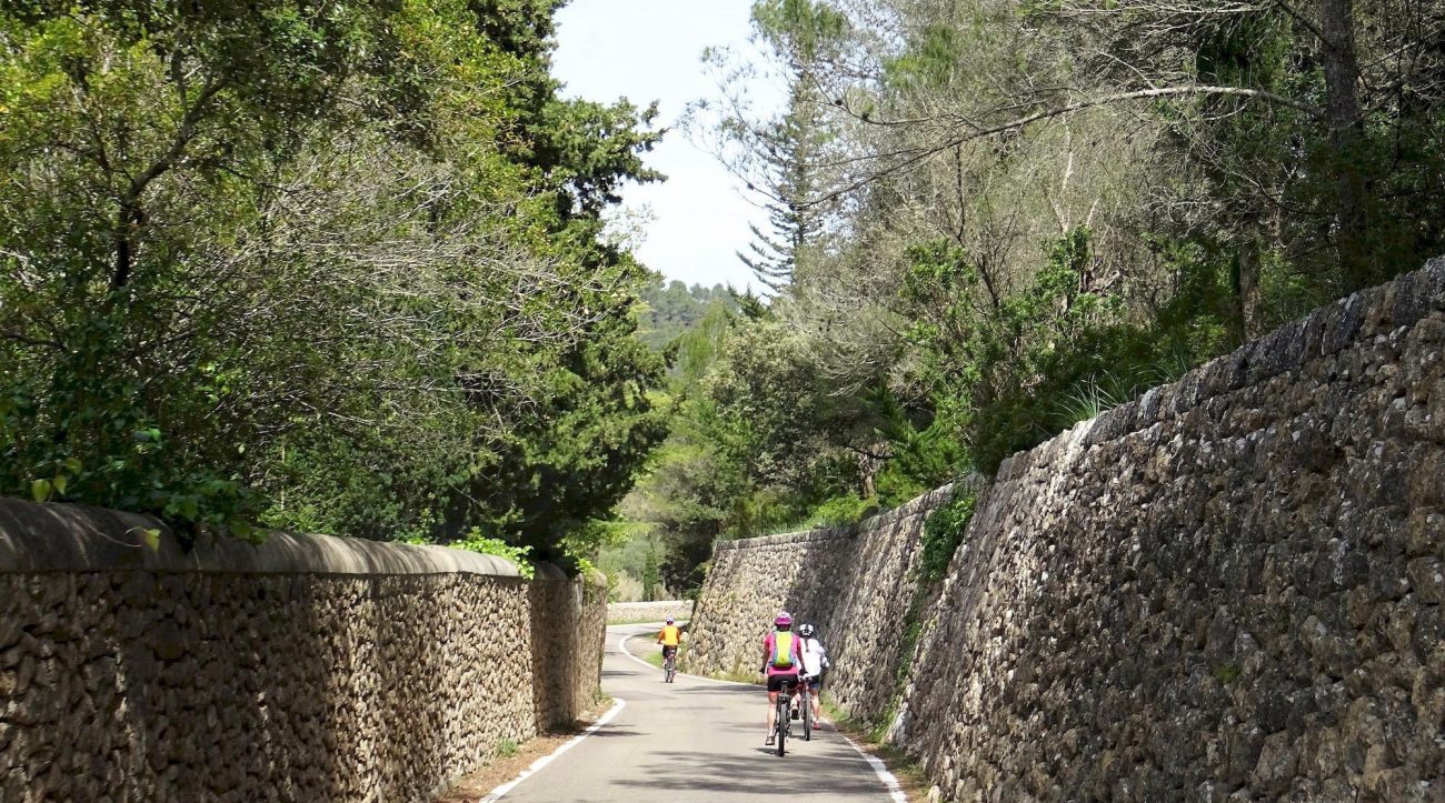 Serra de Tramuntana en bicicleta. Puigpunyent. BICIS EN RUTA. 1170x650