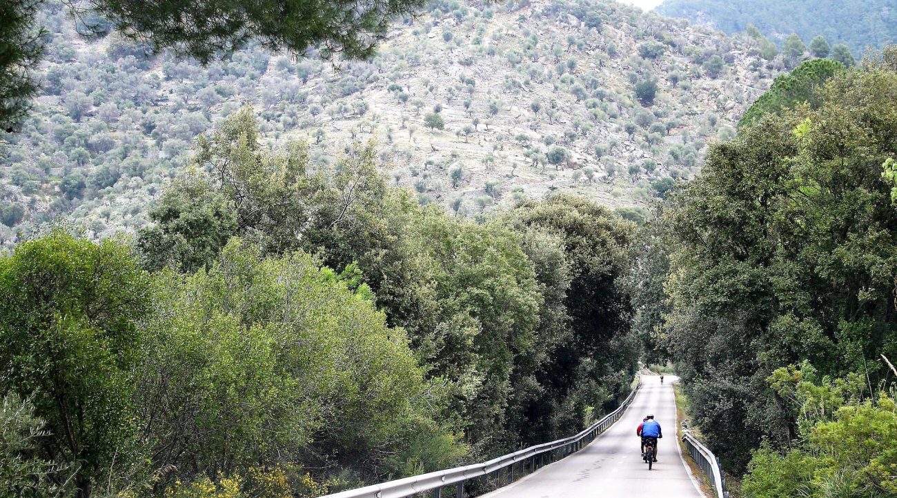 Serra de Tramuntana en bicicleta. Alaro 2. BICIS EN RUTA. 1170x650