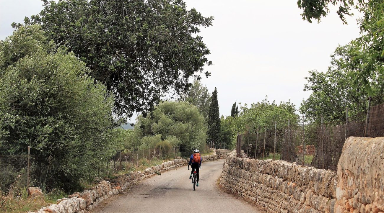 Serra de Tramuntana en bicicleta. Alaro 4. BICIS EN RUTA. 1170x650