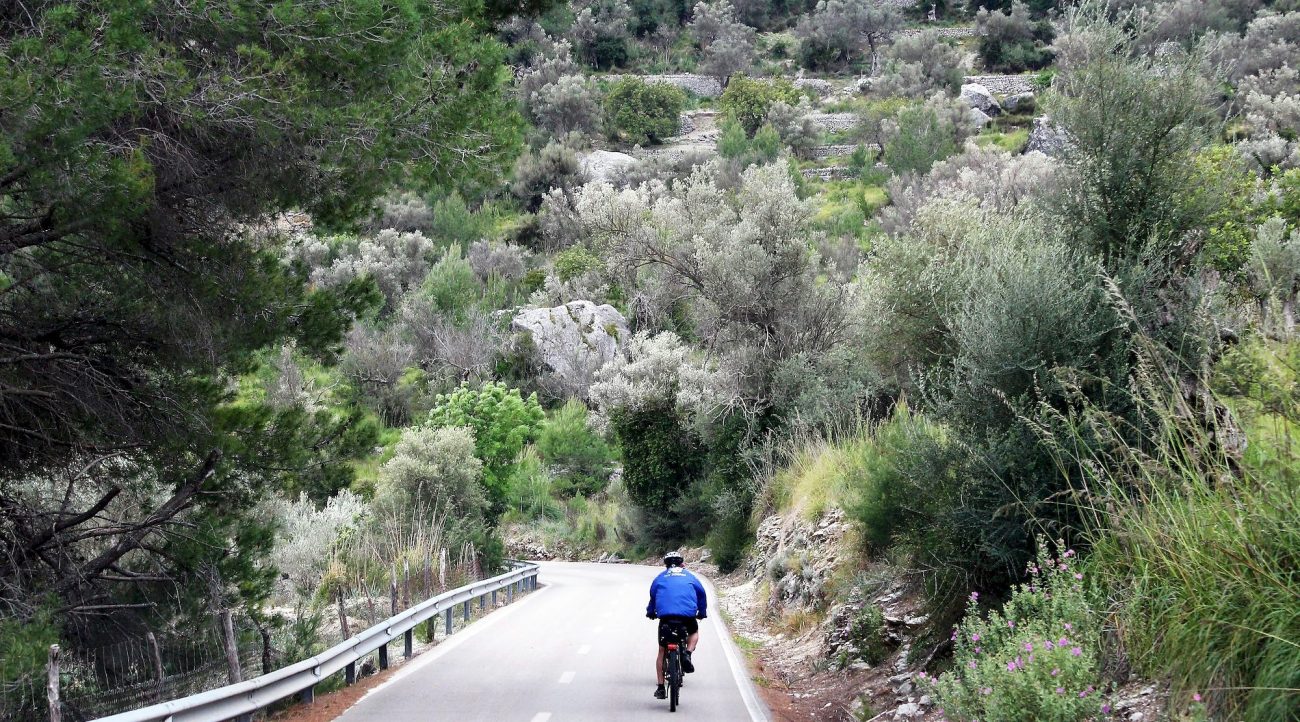 Serra de Tramuntana en bicicleta. Alaro. BICIS EN RUTA. 1170x650