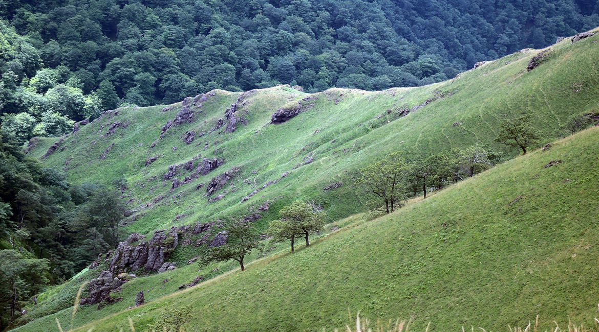 Valle de Esterencuby 2. PIRINEOS SOLITARIOS. BICIS EN RUTA. 1170X650