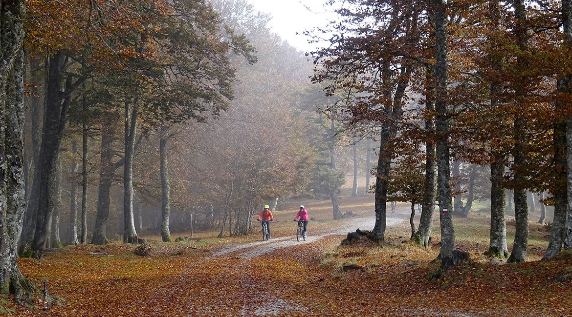 Irati-Abodi-BICIS-EN-RUTA-1170X650